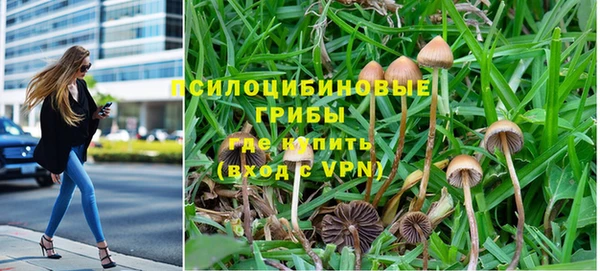 шишки Абдулино