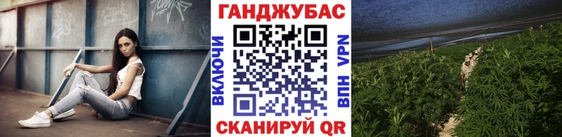 Бошки марихуана Amnesia  Ефремов 
